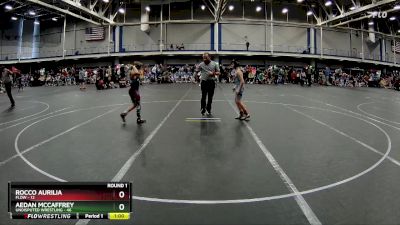 88 lbs Round 1 (10 Team) - Rocco Aurilia, FLOW vs Aedan Mccaffrey, Undisputed Wrestling