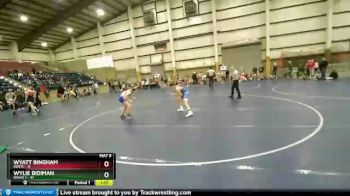 119 lbs Champ Round 1 (16 Team) - Wylie Bidiman, Idaho 1 vs Wyatt Bingham, INWTC