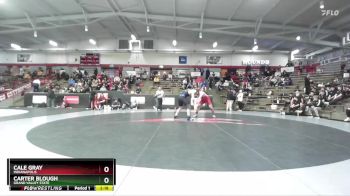 285 lbs Semifinal - Carter Blough, Grand Valley State vs Cale Gray, Indianapolis