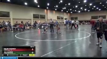 40 lbs Finals (2 Team) - Najm Toomey, Iowa Gold vs Kai Burns, Tennessee Black