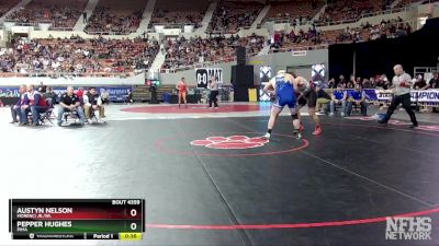 D4-215 lbs Cons. Semi - Austyn Nelson, Morenci Jr./Sr. vs Pepper Hughes, Pima