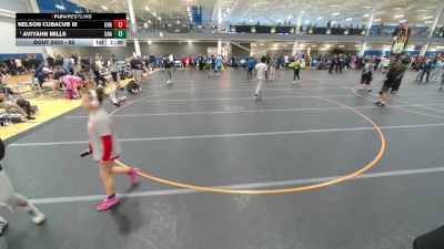 85 lbs Champ. Round 1 - Aviyahn Mills, Unattached vs Nelson Cubacub Iii, Unattached