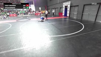 110 lbs Cons. Round 2 - Sylis Burwitz, Team Nazar Training Center vs Riley Brahmer, Glenwood City