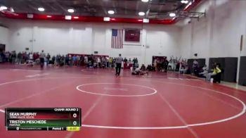 285 lbs Champ. Round 2 - Sean Murphy, Terre Haute South vs Triston Meschede, Portage