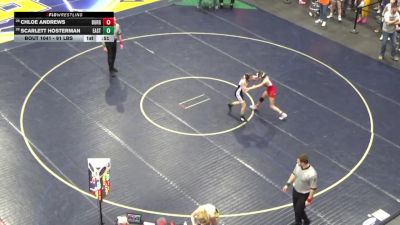 91 lbs Consi Of 8 #1 - Chloe Andrews, Burgettstown vs Scarlett Hosterman, East Stroudsburg