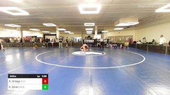 182 lbs Semifinal - Adam Ortega, Blackbelt Wrestling Academy vs Gino Sicari, Doughboy