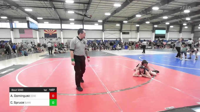 95 lbs Final - Aceyn Dominguez, Desert Dogs WC vs Cohen Spruce ...