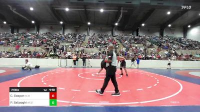 210 lbs Round Of 16 - Caleb Gaspar, Gilmer Bobcat Wrestling vs Parsa Saljooghi, West Forsyth Wrestling Club