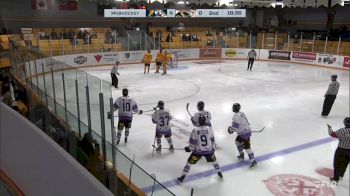 Replay: Home - 2024 Cougars vs Tigers | Nov 16 @ 7 PM