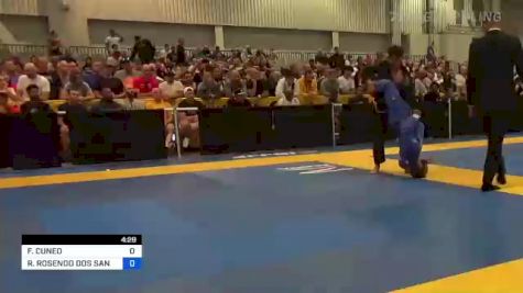 FRANCISCO CUNEO vs RAFAEL ROSENDO DOS SANTOS 2022 World Master IBJJF Jiu-Jitsu Championship