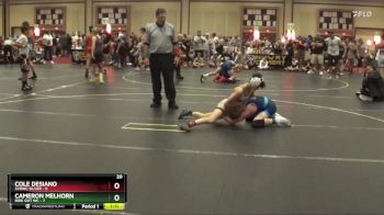 91 lbs Round 1 (6 Team) - Cole Desiano, SVRWC Silver vs Cameron Melhorn, Ride Out WC