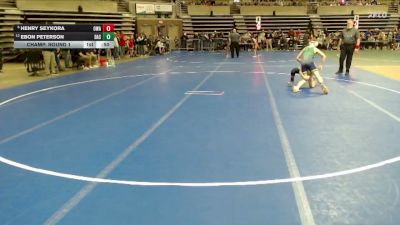 97 lbs Champ. Round 1 - Henry Seykora, Owatonna Wrestling Academy vs Ebon Peterson, Dassel-Cokato-Litchfield