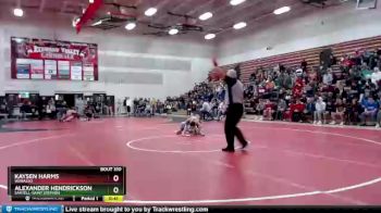 106 lbs Cons. Round 3 - Kaysen Harms, Wabasso vs Alexander Hendrickson, Sartell-Saint Stephen