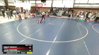 55 lbs Quarterfinal - Jayzie Whitford, Sanderson Wrestling Academy vs Oakley Bradley, Uintah