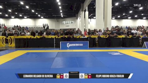 Felipe Ribeiro Souza Fogolin vs Leonardo Delgado De Oliveira 2025 World IBJJF Jiu-Jitsu No-Gi Championship