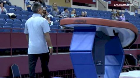 Camryn Richardson - Vault, Pearland Elite - 2019 Metroplex Challenge