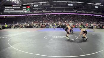D1-113 lbs Quarterfinal - Gavin Lewis, Oxford HS vs Bronson Shinkonis, Brighton HS