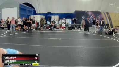 175 lbs Round 5 (8 Team) - Nick Medow, Ohio Storm vs Liam Dillon, Jackson HS