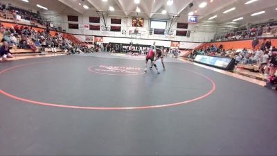 132 lbs Round 3 (6 Team) - Alexander Johnson, DouglasSD vs Austin Morillon, Jackson