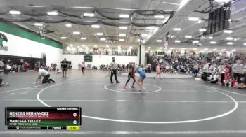 100 lbs Quarterfinal - Genesis Hernandez, Honey Badger Wrestling Club vs Vanessa Tellez, Maize Wrestling Club