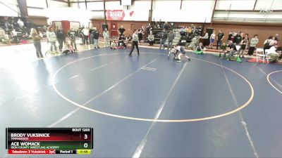 90 lbs Cons. Round 3 - Ace Womack, Iron County Wrestling Academy vs Brody Vuksinick, Timpanogos