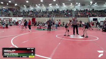 101 lbs Semifinal - Reese Kasprzak, Lake Central High School vs Kendall Moe, Hamilton Heights