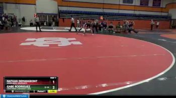 133 lbs Cons. Round 3 - Gabe Rodriguez, Concordia University (WI) vs Nathan Demangeont, Heidelberg University