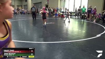 70 lbs Round 1 (4 Team) - Kelsey Palmer, Untouchable Lady Reapers vs Ava Westenbarger, TN AAU- Havok