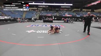 138 lbs Cons. Round 2 - Addison Messerly, Campbellsville vs Tabitha Wood, Hastings