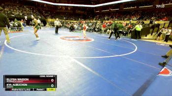 105 Class 1 lbs Cons. Round 1 - Kya Aubuchon, DeSoto vs Ellysia Wasson, McDonald County