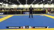 Armando Rodriguez Perez Jr. vs André Abrantes M. Ferreira 2025 World IBJJF Jiu-Jitsu No-Gi Championship