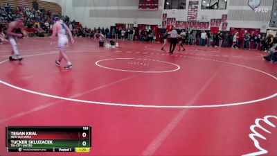 133 lbs Quarterfinal - Tucker Skluzacek, Tri-City United vs Tegan Kral, New Ulm Area