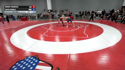 175 lbs Brody Sendele, Illinois Freestyle vs Zack Aquila, Ohio Scarlet FS