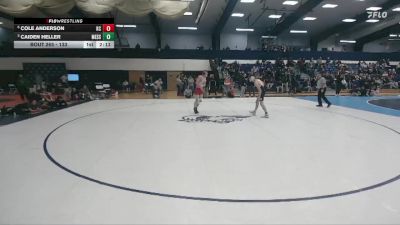 133 lbs 3rd Place Match - Cole Anderson, Kings vs Caiden Heller, Messiah