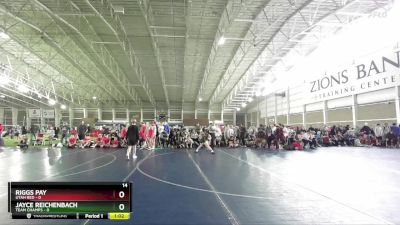 87 lbs Round 2 (4 Team) - Riggs Pay, Utah Red vs Jayce Reichenbach, Team Champs