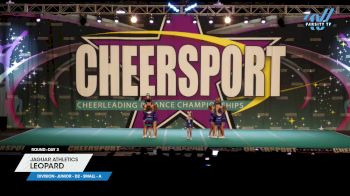 Jaguar Athletics - Leopard [2025 L2 Junior - D2 - Small - A Day 3] 2025 CHEERSPORT National All Star Cheerleading Championship