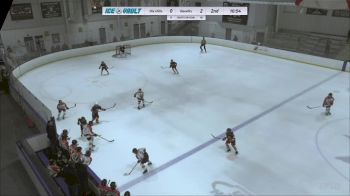 Replay: Home - 2024 Dix Hills vs Bandits U12 | Jan 21 @ 10 AM