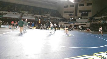113 lbs Round Of 16 - Sean Saradpon, Goose Creek vs Bryson Hipps, Dutch Fork
