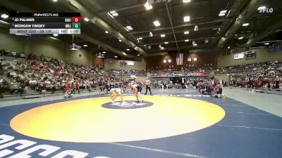 2A 175 lbs Semifinal - Morgan Tingey, Millard vs Jd Palmer, San Juan