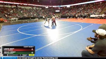 D1-220 lbs Champ. Round 1 - Jonte Watt, Milw. Lutheran vs Brock Arndt, Appleton North