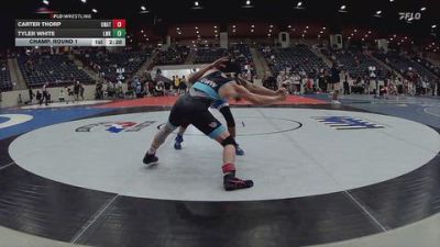 133 lbs Champ. Round 1 - Tyler White, Lindsey Wilson (Ky.) vs Carter Thorp, Unattached