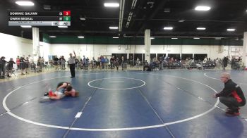 80 lbs Consi Of 16 #2 - Dominic Galvan, CA vs Owen Begeal, NY