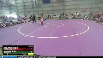 100 lbs Semis & 1st Wrestleback (8 Team) - Joel Friederichs, Minnesota Blue vs Wallace Blue, Alabama