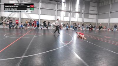 51.2-52.2 lbs Champ. Round 1 - Parker Vetters, Top Dog Wrestling Club vs Raiden Wilson, Mat Demon Wrestling Club