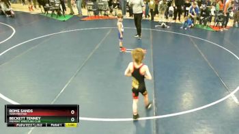 46 lbs Cons. Round 2 - Rome Sands, Team Prestige vs Beckett Tenney, Fremont Wrestling Club