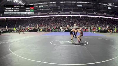 D1-106 lbs Quarterfinal - Jameson Wood, Brighton HS vs Shane Stevens, Warren Mott HS