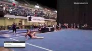 Ava Hicks - Women's Group, Swiss Turners Gymnastics Academy - 2021 Women's Xcel Region 4 Championships