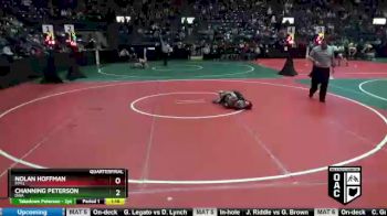 75 lbs Quarterfinal - Channing Peterson, DWA vs Nolan Hoffman, PPY2