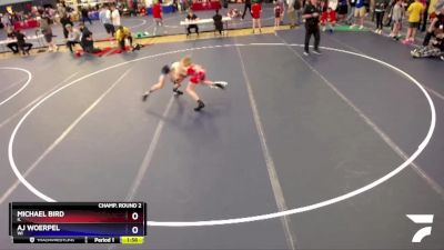 92 lbs Champ. Round 2 - Michael Bird, IL vs Aj Woerpel, WI