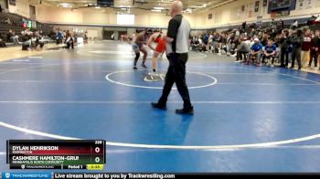 220 lbs Cons. Round 4 - Cashmere Hamilton-Grunau, Minneapolis North Community vs Dylan Henrikson, Farmington